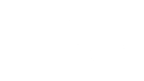 DASHA DESIGN